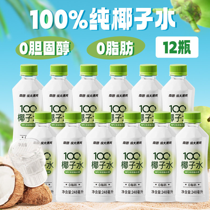 南国食品椰子水海南特产椰子水电解质孕妇饮料椰青水饮料饮品