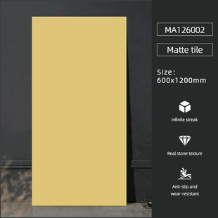 网红纯色600*1200哑光瓷砖全瓷卫生间阳台客厅通铺地砖墙砖