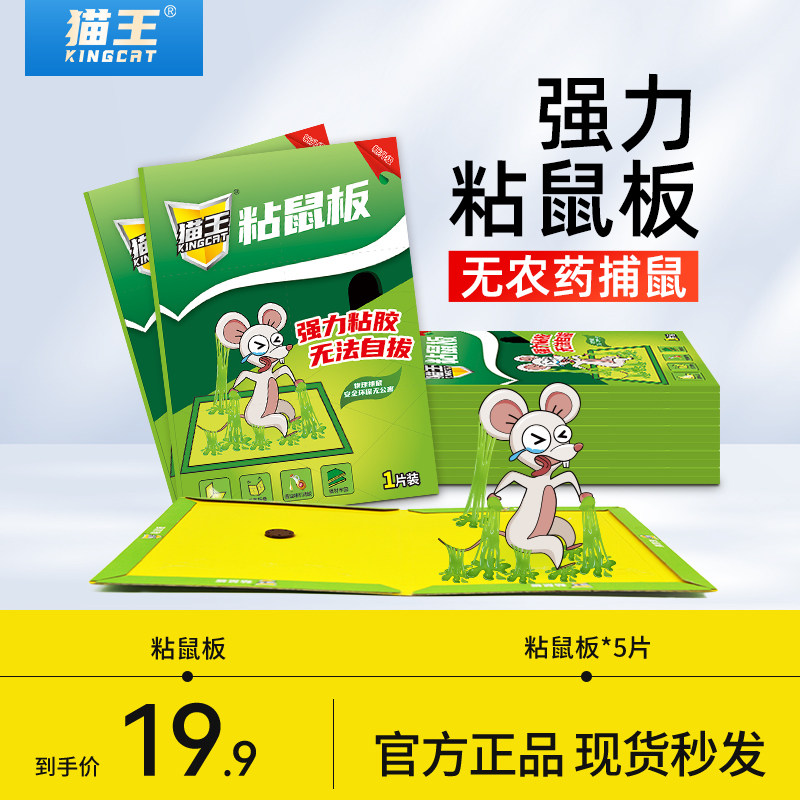 黑猫神粘鼠板强力胶粘大老鼠高粘度粘鼠贴捕鼠神器5片装PDD使用感如何?