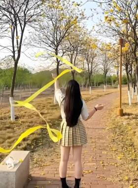 学生Jk拍照飘带黄色4米户外写真