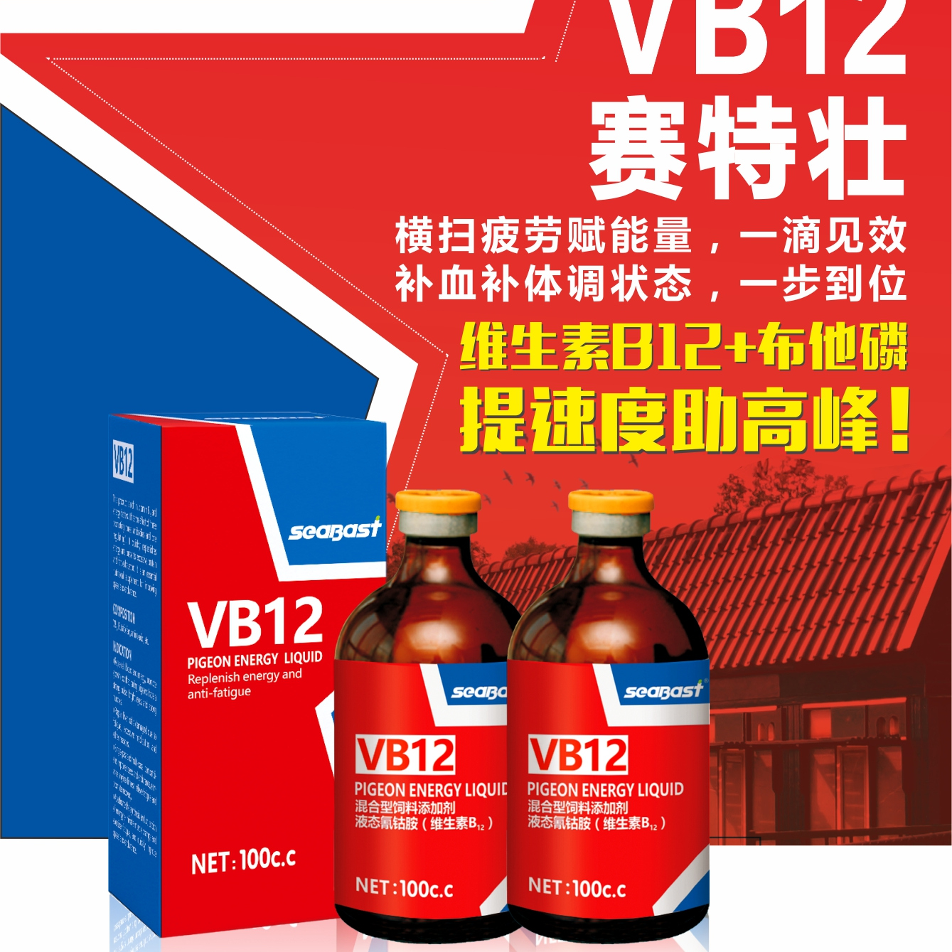 赛巴斯鸽药赛特壮VB12赛信鸽子比赛用科特壮布他磷维生素B12提速