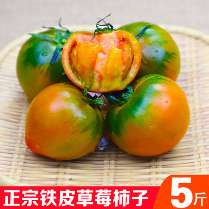 铁皮草莓柿子油柿子碱地柿子草莓番茄5斤装西红柿