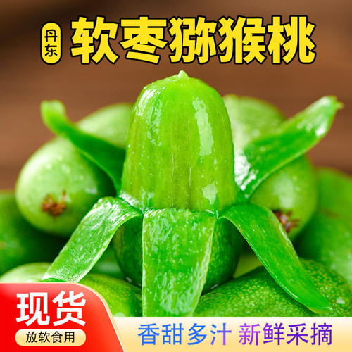 软枣猕猴桃新鲜采摘奇异莓