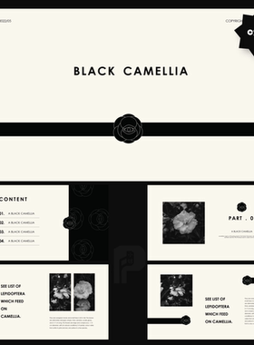 BLACK CAMLLIA黑色玫瑰浪漫简约PPT模板