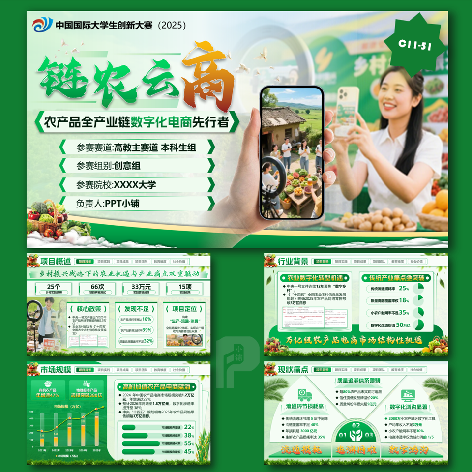 互联网+创新创业乡村振兴项目汇报PPT模板