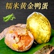 青阳山黄金糯米蛋咸鸭蛋糯米饭蛋粽腊肉味咸蛋黄端午节散装 糯米蛋