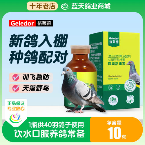 格莱德四联鸽康宝信鸽口服调节