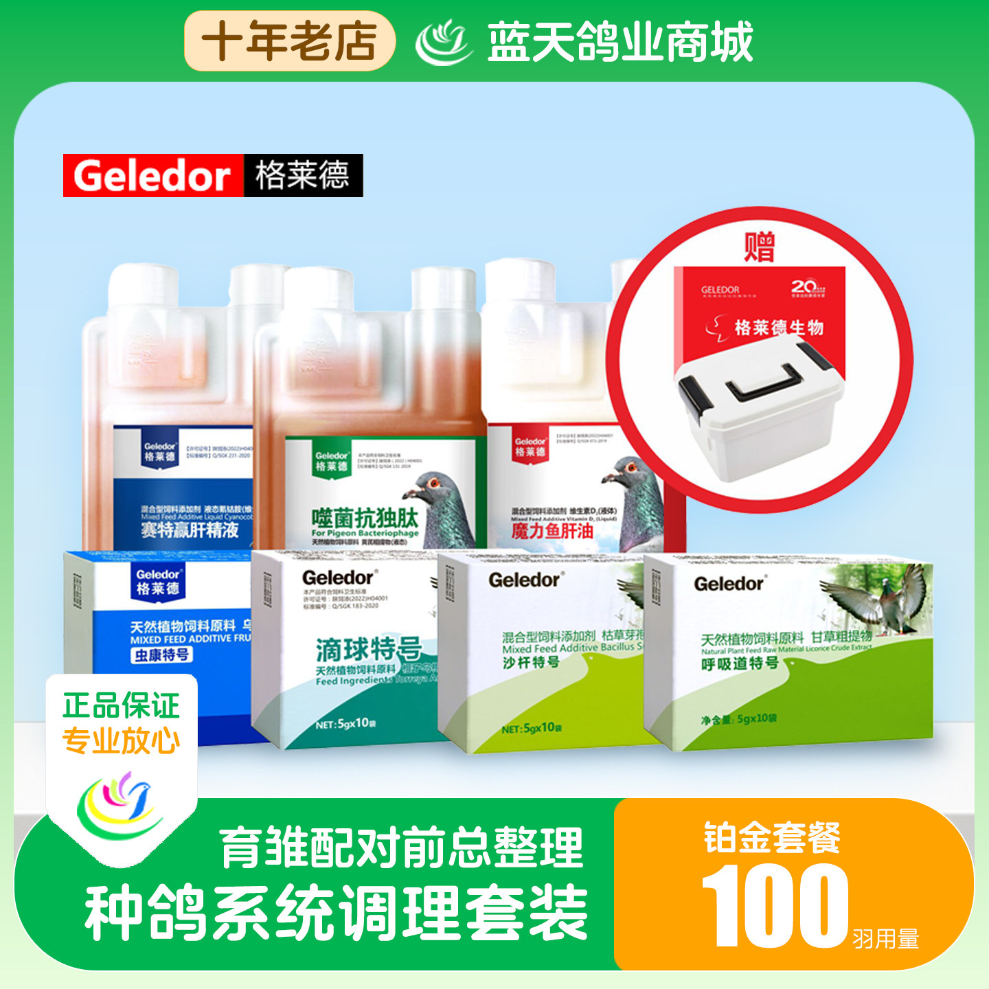 种鸽配对前系统调理清理信鸽非鸽药体内虫呼吸道毛滴虫肠道格莱德