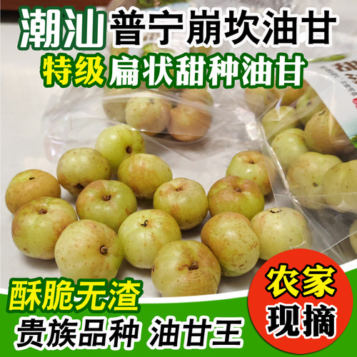 潮汕新鲜油甘果润喉泡酒榨汁