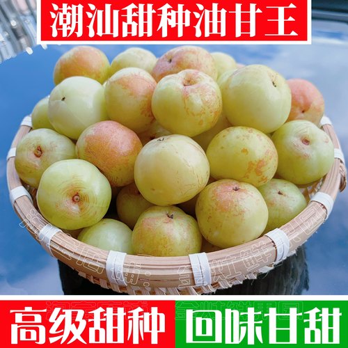 揭阳潮汕甜种油甘果现摘可腌制