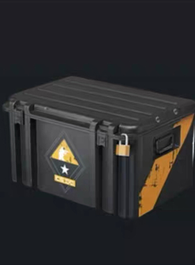 Cs每周等级代打 Csgo周箱 Cs2等级 cs经验 Cs2周常经验