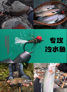 钨头欧若毛钩手工精绑若虫鳟鱼北极茴鲑鱼华子鱼山女鳟白斑红点鲑