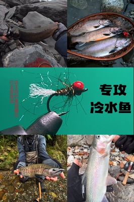 钨头欧若毛钩手工精绑若虫鳟鱼北极茴鲑鱼华子鱼山女鳟白斑红点鲑