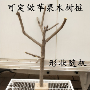 可定做苹果木树桩松鼠密袋鼠飞鼠磨牙玩具用品
