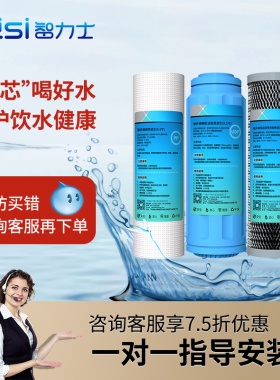 9.5寸滤芯商用饮水机过滤配件管线机滤芯PP棉活性碳RO膜净水器YS