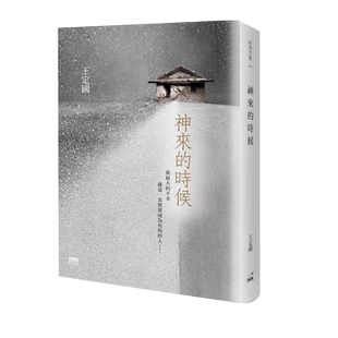 预售 王定国神来的时候印刻 原版进口书 文学小说