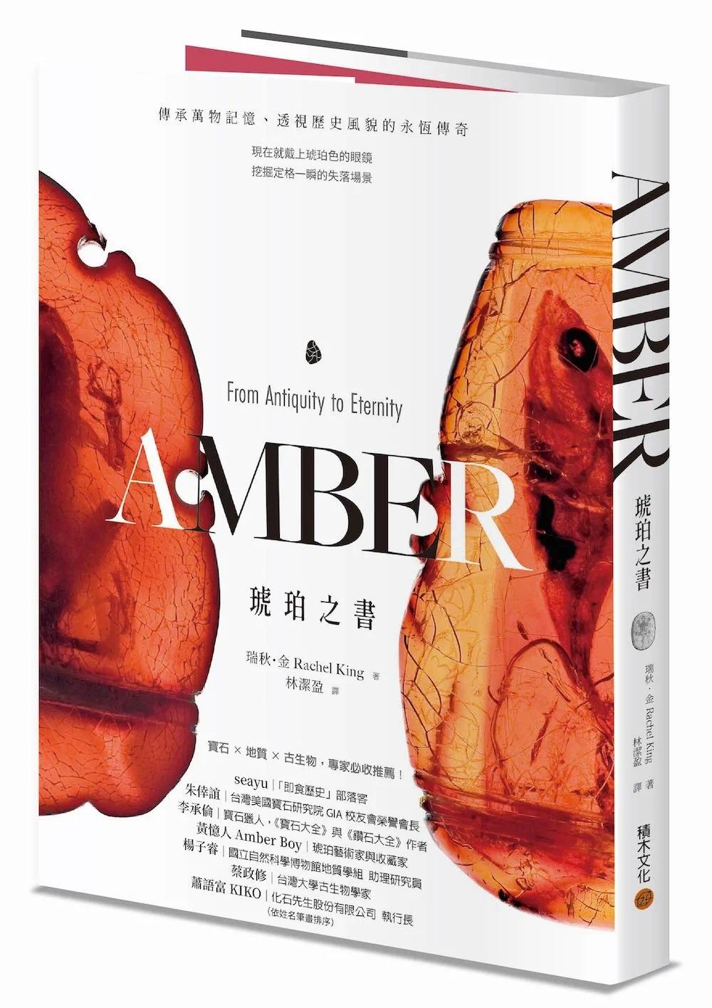 预售 琥珀之书：传承万物记忆、透视历史风貌的永恒传奇 积木文化 瑞秋・金