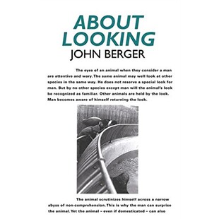 现货 英文原版 约翰·伯格 看 豆瓣推荐 About looking John Berger
