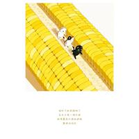 Pre-sale art collection: Adventure in the Wild Vegetable country アボガド6 × cat first full-color illustration card book Desk Edition comic book illustration paperback publication Original imported book lifestyle thumbnail 2