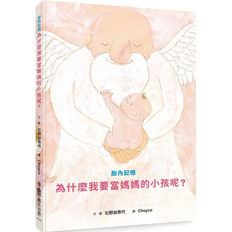 预售 胎内记忆为什么我要当妈妈的小孩呢？ 小鲁文化 原版进口书 童书/青少年文学