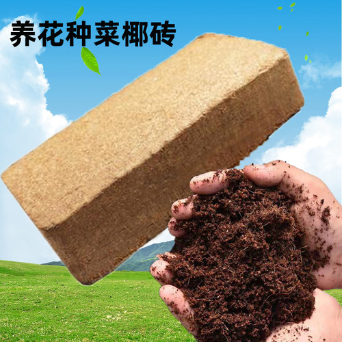 椰砖营养种菜基质通用型无土栽培
