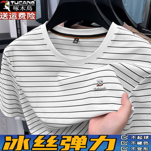啄木鸟短袖t恤男夏季新款圆领条纹半袖体恤衫中年丝光棉上衣男士