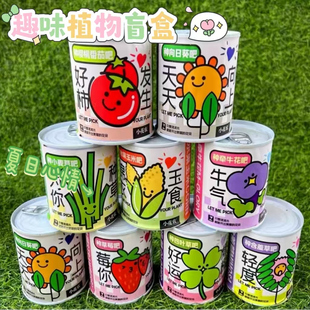 创意易拉罐小盆栽儿童种植植物幼儿园学生观察趣味易养活diy绿植