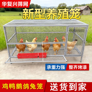 鸡笼子家用室外大号新型养殖专用农村自动清粪农家户外防雨鸡舍窝
