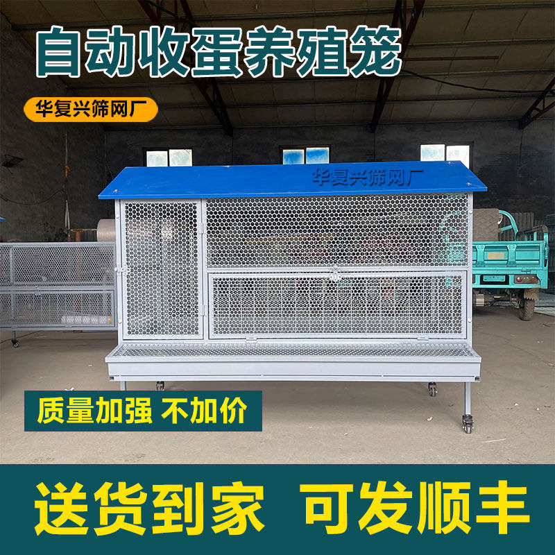 自动收蛋养殖笼新型养殖鸡笼子鸡鸭鹅鸽兔自动清粪铁笼防雨鸡舍窝