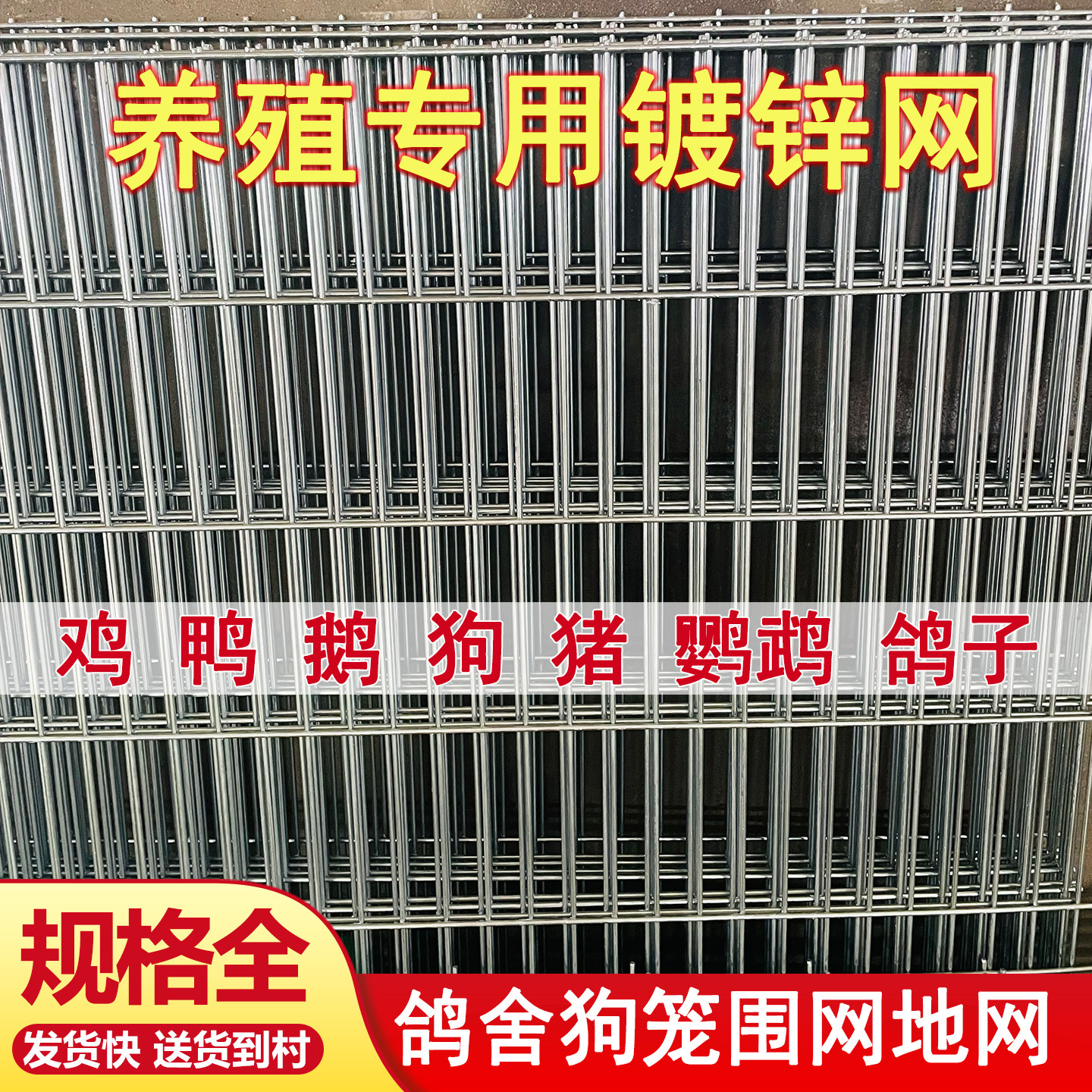 镀锌养殖铁丝网片防鼠鸽舍围栏网图片