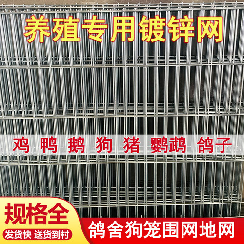 镀锌养殖铁丝网片防鼠鸽舍围栏网