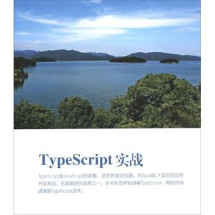 包邮 Web前端技术丛书 现货 TypeScript实战 汪明 9787302539810 清华大学