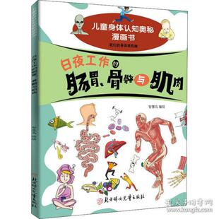 肠胃 骨骼与肌肉 社 包邮 作者 北方妇女儿童出版 夜工作 9787558545115 现货 少儿科普