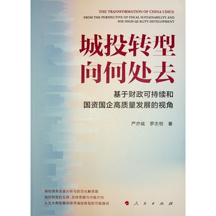 视角 9787010266596 罗志恒 包邮 著 严亦斌 城投转型向何处去——基于财政可持续和国资国企高质量发展 社 现货 人民出版