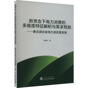 多维度特征解析与需求预测——兼论湖北省电力高质量发展 新常态下电力消费 9787307239616 武汉大学出版 光峰涛 现货 社 包邮