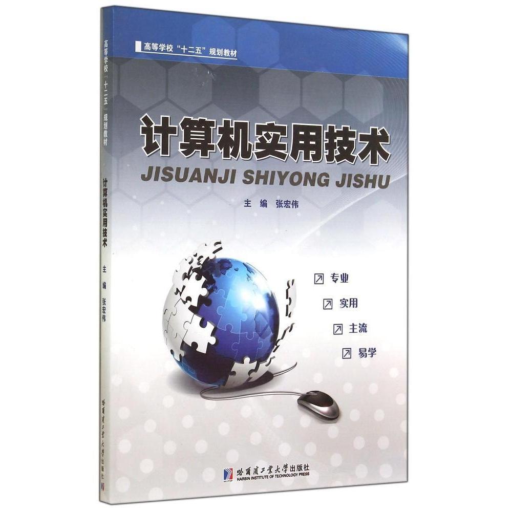 现货包邮 计算机实用技术/王桂芝 9787560347912 哈尔滨工业大学出版社 张宏伟