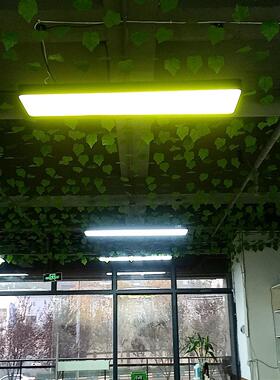 长条灯遮光膜吸顶吊灯柔光防刺眼自粘耐高温挡光护眼改色变色贴纸