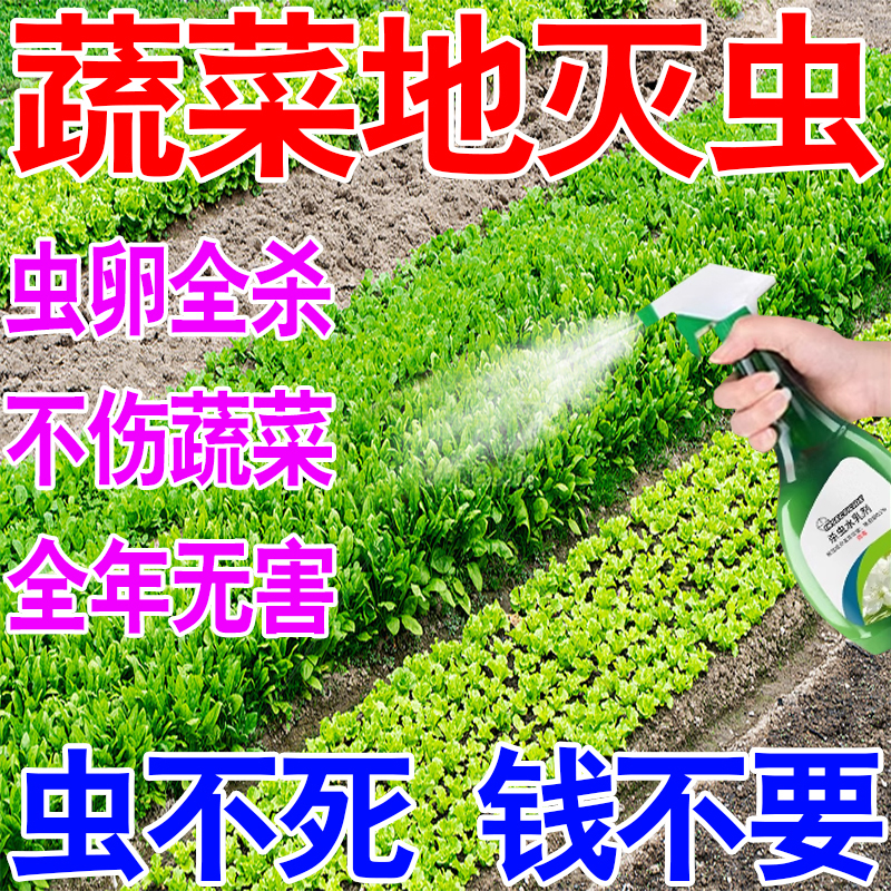 蔬菜地杀虫剂专用驱虫药虫卵双杀