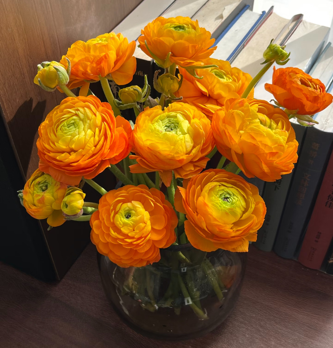 橙洋牡丹 不包邮,鲜花速递/花卉仿真/绿植园艺,花材,淘宝优惠券,粉丝福利购,淘宝优惠卷