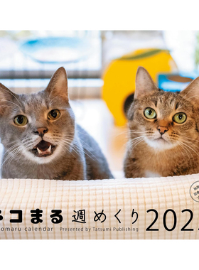 日本进口猫咪主题挂历月历2025岩合光昭冲昌之岛猫城主猫咪手账