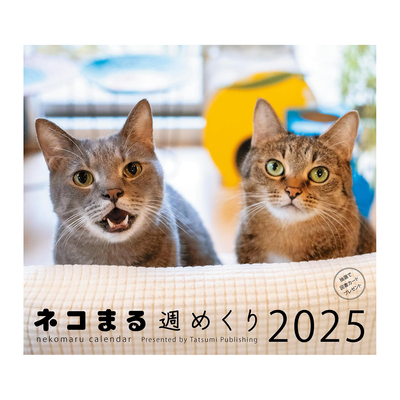 猫咪挂历冲昌之岩合光昭岛猫