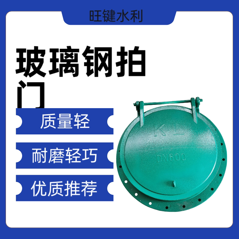玻璃钢拍门dn200鱼塘防倒灌铸铁拍门不锈钢拍门dn300铸铁拍门