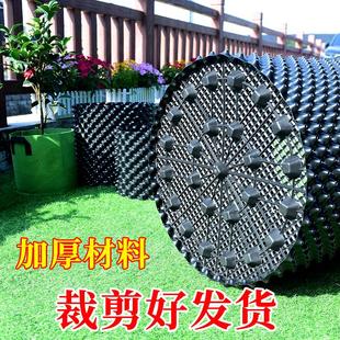 控根器家用蔬菜花卉果树育苗器阻根板黑色育苗种菜花盆塑料排水板