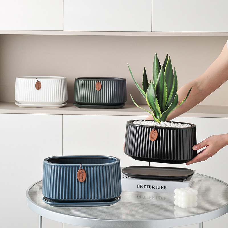 多肉民宿花盆大口径有孔长条椭圆形租摆陶瓷透气吸水特价分体花盆,鲜花速递/花卉仿真/绿植园艺,花盆,淘宝优惠券,粉丝福利购,淘宝优惠卷