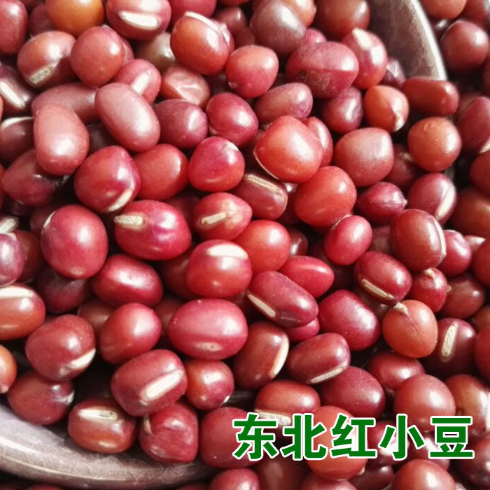 红小豆新货东北农家自产笨红豆一斤装500g粗杂粮