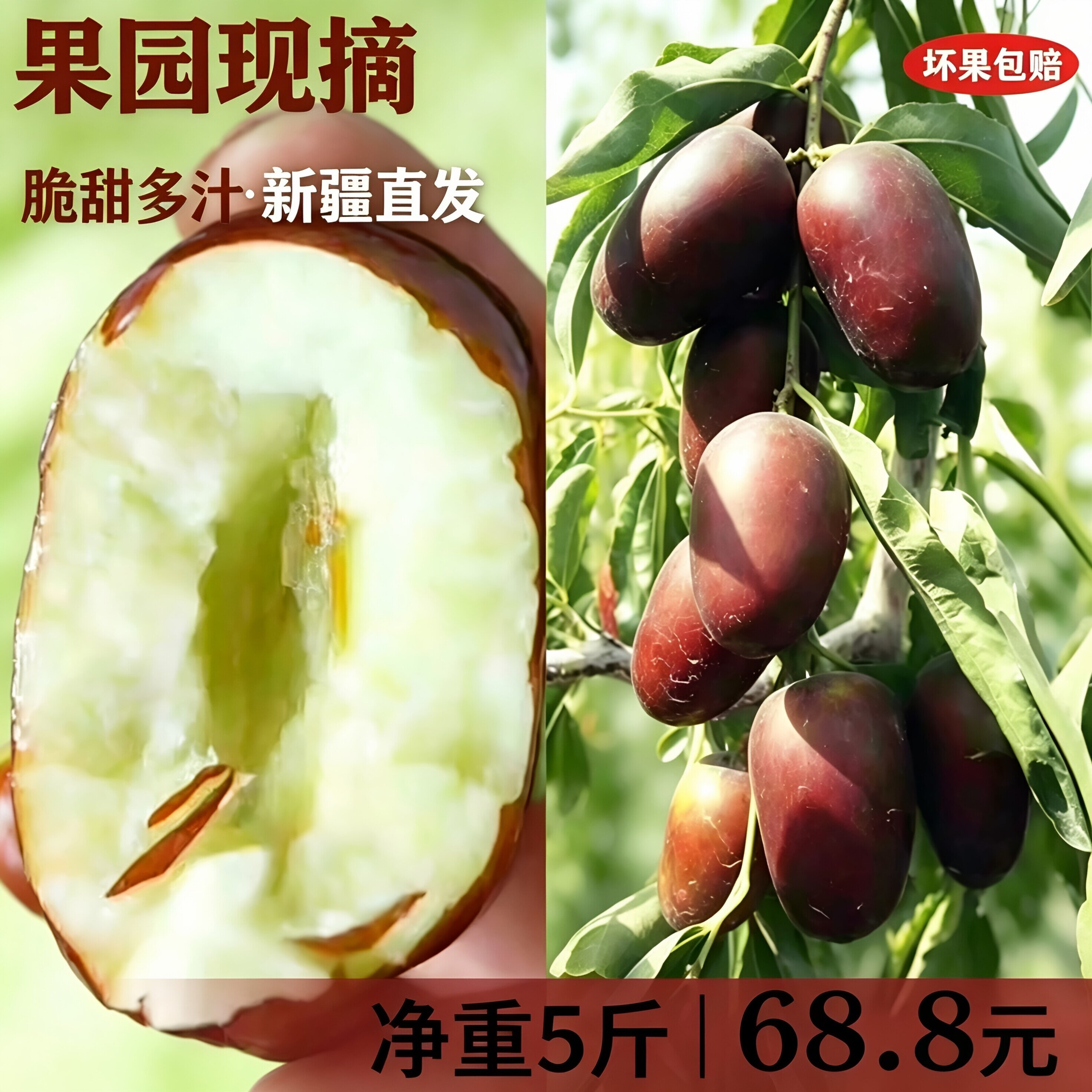 新疆鲜枣灰枣冬枣枣子自家果园直发5斤顺丰包邮孕妇水果现摘脆枣