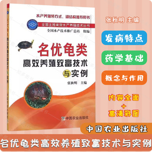 名优龟类高效养殖致富技术与实例 全国主推高效水产养殖技术丛书黄头庙龟苗种培育技术龟常见病害防治