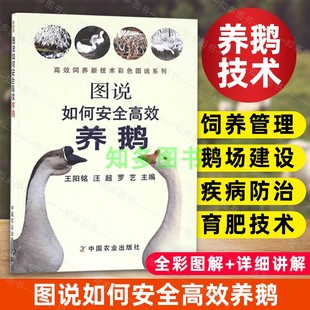 鸭饲养鸭技术揭秘设备养鹅 养殖书籍 鸭疾病快速诊治防治大全 家禽 养鸭技术大全 生态高效养殖技术 图说如何安全高效养鹅
