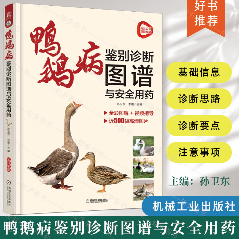 鸭鹅病鉴别诊断图谱与安全用药 孙卫东 鸭鹅病鉴别诊与防治 禽类兽医书籍 鸭病图鉴 养鹅技术 养鸭技术书籍 鸭鹅病彩色图谱书籍