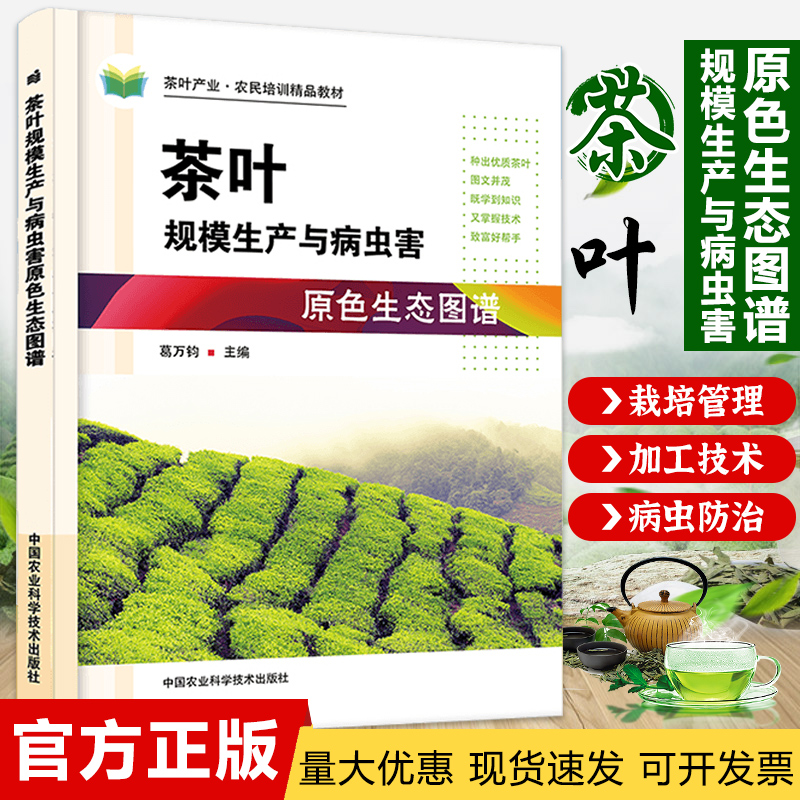 正版茶叶规模生产病虫害原色